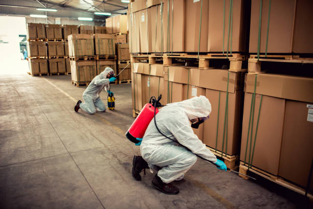 Best Pest Inspection Near Me  in Louisvle, IL