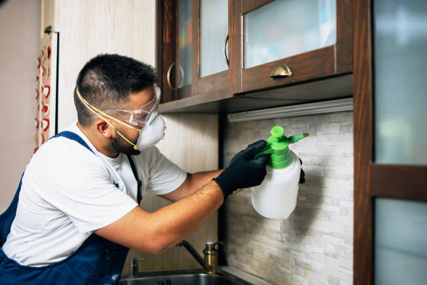 Best Pest Control for Restaurants  in Louisvle, IL