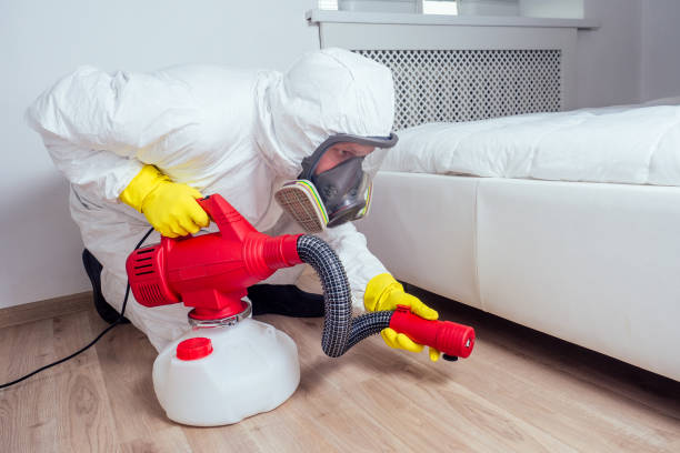 Best Ant Control Services  in Louisvle, IL