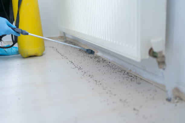 Pest Control for Restaurants in Louisville, IL