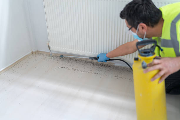 Best Exterminator Services  in Louisvle, IL